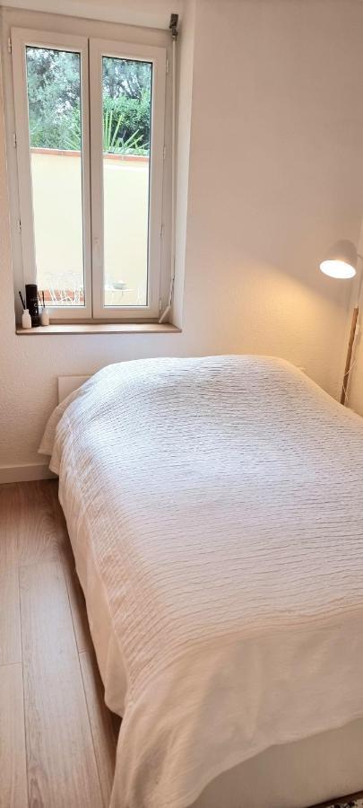 Sur Un Nuage - Terrasse - Gare - Hypercentre Apartment ตูลูส ภายนอก รูปภาพ